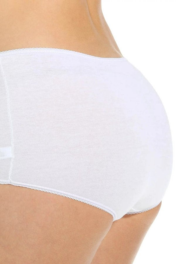 Teri Lingerie Everyday Comfort Full Cut Briefs 4-Pack