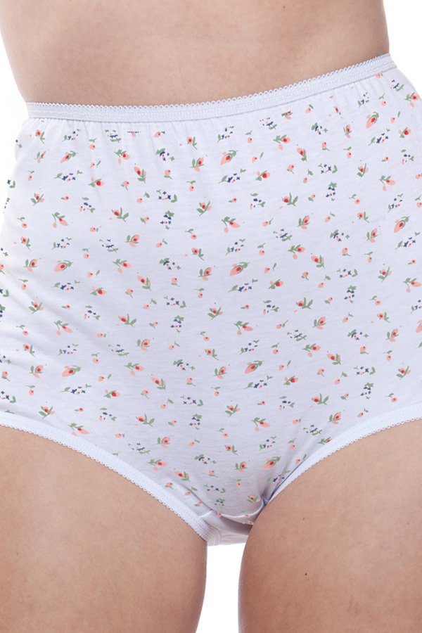 Teri Lingerie Floral Brief 6-Pack - Floral Print - source image 64243