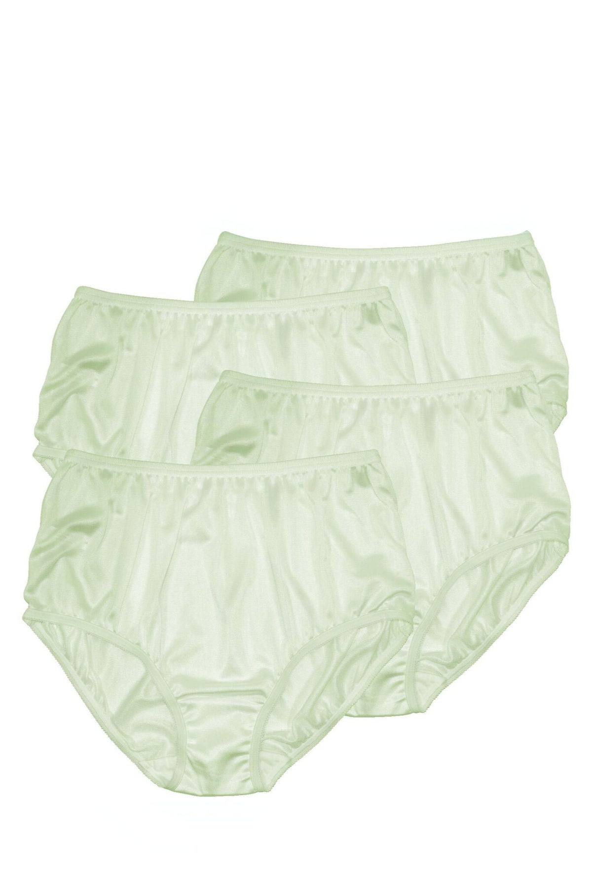 Teri Lingerie Plain Jane Full Cut Nylon Brief 4-Pack - Seafoam - source image 70664