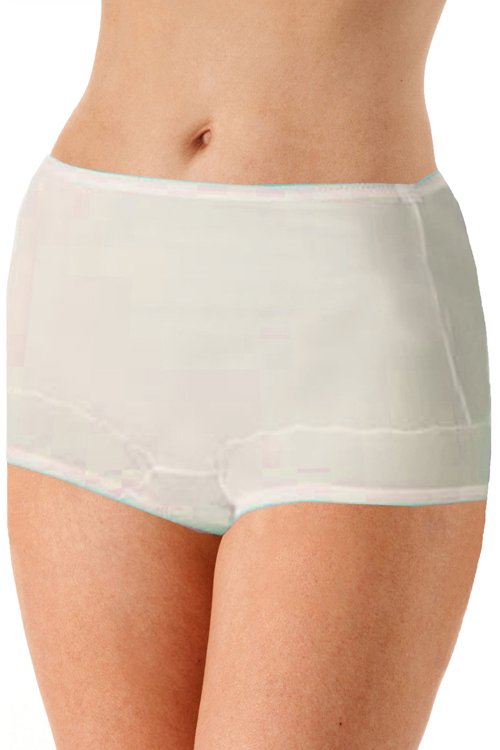 Velrose Lingerie Dixie Belle Scallop Trim Full Panty, 3-Pack - Beige - source image 46614
